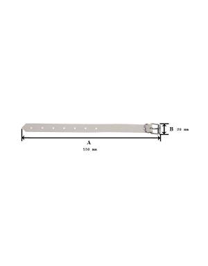CORREA DE 55x20 BLANCA 2mm...