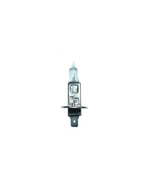 KIT LAMPARA 12 V. 55W PARA...