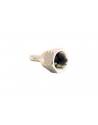 RACOR PRENSAR TUERCA LOCA 3/4" ROSCA 1/2" MANGUERA JIC