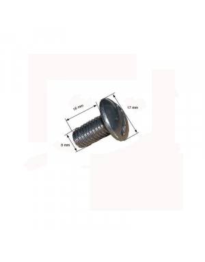 TORNILLO DE PISCINA INOX